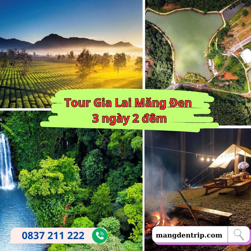 Tour Gia Lai Măng Đen 3 ngày 2 đêm