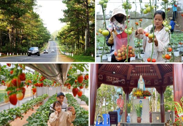 Đến Măng Đen và thăm thú những địa danh nổi tiếng