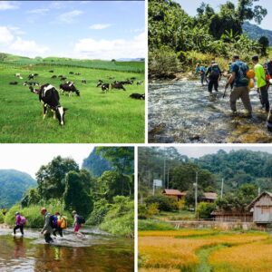 Trải nghiệm cung đường trekking cực đẹp