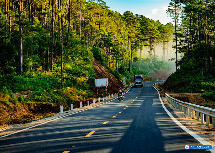 Rừng thông Măng Đen Kon Tum